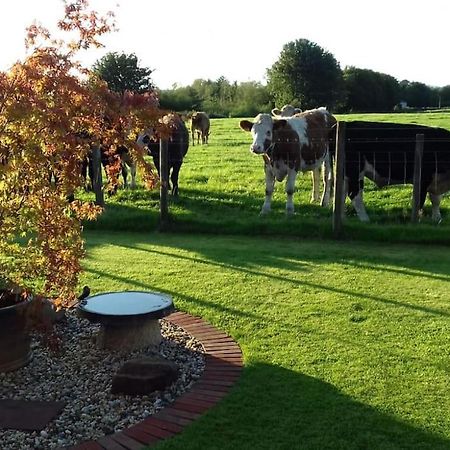 Courtyard Cottage Lockerbie Buitenkant foto