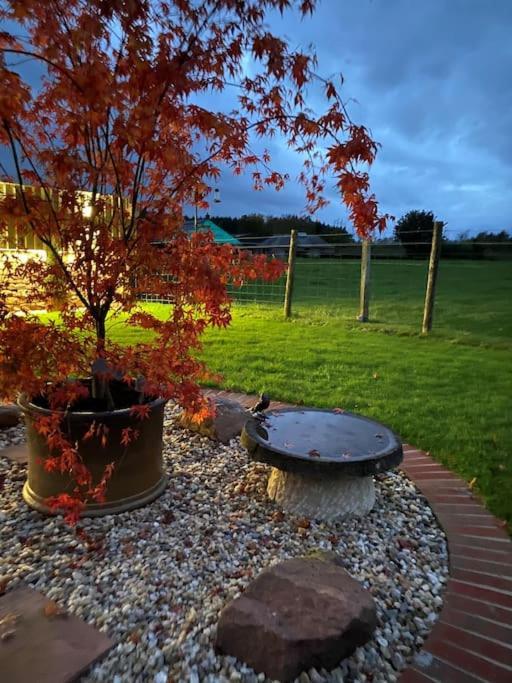 Courtyard Cottage Lockerbie Buitenkant foto
