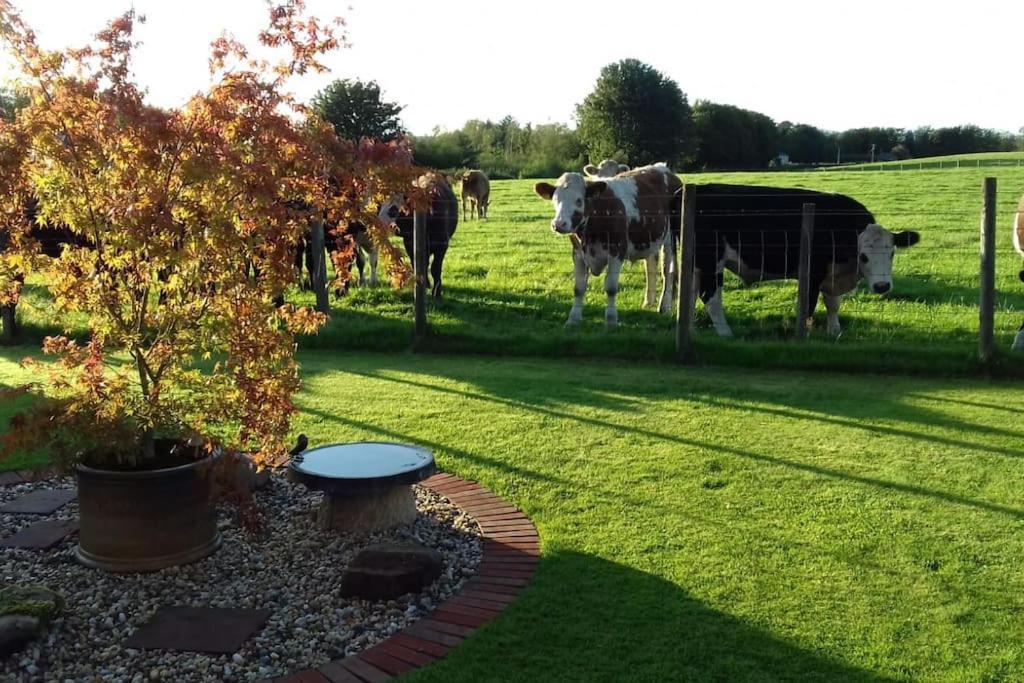 Courtyard Cottage Lockerbie Buitenkant foto